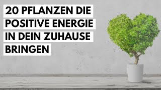 20 Pflanzen die positive Energie in dein zuhause bringen und die negativen Kräfte entfernen [upl. by Sudaorb648]