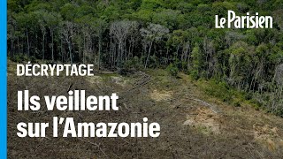 Forêt amazonienne  le Brésil à nouveau surveillé par des satellites contre la déforestation [upl. by Mariellen]