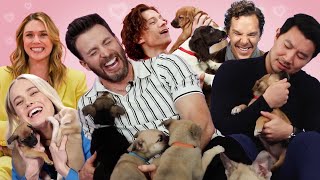 Only True Marvel Fans Will Enjoy These Puppy Interviews [upl. by Peper]