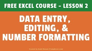 FREE Excel Course Lesson 2  Data Entry Editing and Number Formatting [upl. by Celisse593]