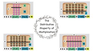 Distributive Property of Multiplication [upl. by Meghan]