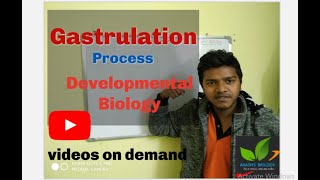 Gastrulation Process Developmental Biology part3 [upl. by Nuahc]