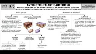 ANTIBIOTIQUES ANTIBACTÉRIENS  Fiche de synthèse 1 [upl. by Evered456]