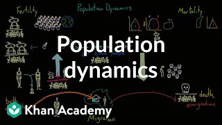 Population dynamics  Society and Culture  MCAT  Khan Academy [upl. by Hctub]