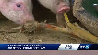 Pork producers at World Pork Expo weigh in on Californias animal confinement law [upl. by Fahy]