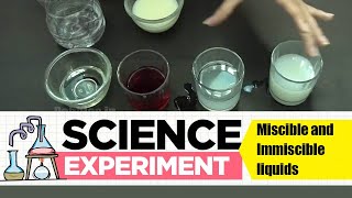 Experiment on Miscible and immiscible liquids  Science Experiment 1  Easy Chemistry Experiments [upl. by Nollie]