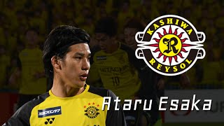 江坂任｜No10｜Ataru Esaka 2019 Skills amp Goals｜柏レイソル Kashiwa Reysol [upl. by Ellard]