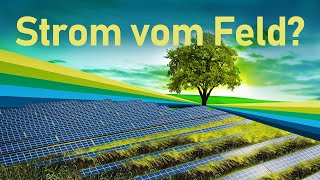 AgriPhotovoltaik So funktioniert die Kombination aus Solar und Landwirtschaft [upl. by Cami]