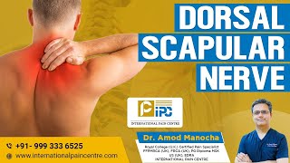 DORSAL SCAPULAR NERVE [upl. by Kirre]