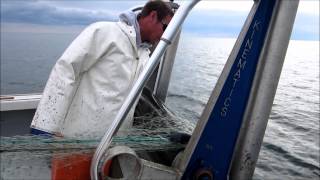 Hardway Commercial Fishingwmv [upl. by Rofotsirk499]