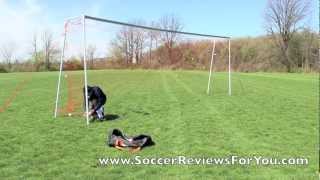 Golme Professional Training Goal [upl. by Melan254]