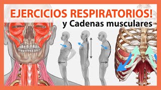 🛑 Alivia tu Dolor Mejorando tu Respiración 👉Desbloquea tus Cadenas Musculares Técnicas y Ejercicios [upl. by Bashemath]