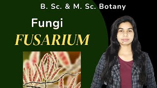 Fungi  FUSARIUM  Botany  B Sc amp M Sc [upl. by Derfiniw]