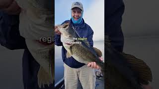 Top 25 Best Bass Lakes in the South  16 Lake Panasoffkee bassfishing fishing bestbasslakes [upl. by Three]