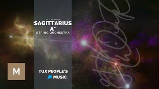 Sagittarius A String Orchestra  Julia Richards [upl. by Acsehcnarf]