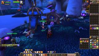 Quest 688 Plants of Zangarmarsh WoW human paladin [upl. by Balliol]