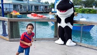 Sea World by Lou Perz  One Ocean All New Shamu Show SeaWorld Orlando Fl [upl. by Jack134]