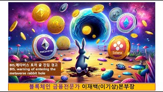 질문답변QampA BIS토끼굴 진입경고 BISwarning of entering Metaverse Rabbit hole 이재백 본부장 240224 [upl. by Comfort]