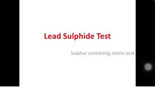 Lead Sulphide Test For Proteins Biochemistry Practical 1st year MBBSBDS [upl. by Bascomb]