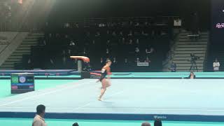 Eythora Thorsdottir Floor  2019 European Championships Qualifications [upl. by Anwahsar]