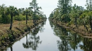 Picayune Strand State Forest Camping Overview [upl. by Castora]