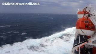 ZEUS PALACE Grimaldi Lines  Olbia  Livorno 1372016 rough sea [upl. by Nere]