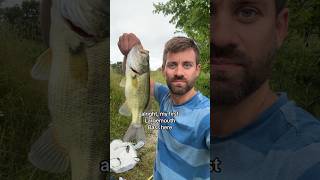 Fishing at The Busse Woods 🎣 fishing fishinglife fishingvideo [upl. by Lise905]