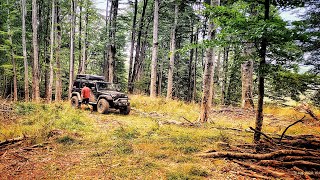 Urcari spectaculoase noroi troliere si animale salbatice Explorare in Muntii Siriu [upl. by Demmahom]