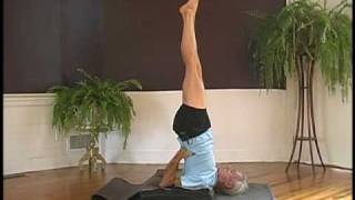 John Schumacher Teaches Salamba Sarvangasana I [upl. by Attenohs]