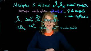 Nitrogen nucleophiles imine amp enamine formation Dr Tania CS [upl. by Oler]