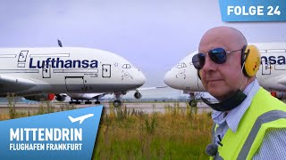 Neustart am Flughafen  Fliegen in Corona Zeiten 2  Mittendrin  Flughafen Frankfurt 24 [upl. by Leticia476]