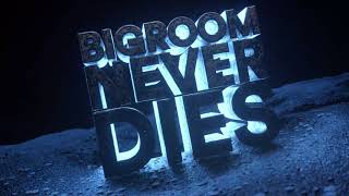 Hardwell amp Blasterjaxx feat Mitch Crown  Bigroom Never Dies Visual Video [upl. by Pleasant]