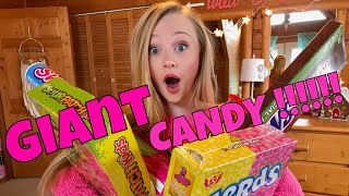 Giant Candy Haul Challenge with Princess Ella [upl. by Armalda221]