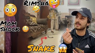 Mama Or Rimsha K Sath Snake Prank 😜 [upl. by Ahsitram757]