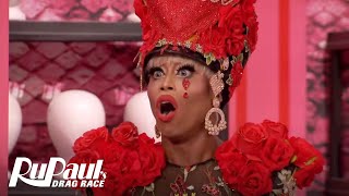 The Library is Open Extended Scene  RuPaul’s Drag Race All Stars 4 [upl. by Nart609]