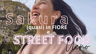 Vlog  Passeggiata tra i ciliegi e cibo buono streetfood [upl. by Ahsemot76]