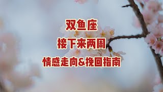 双鱼座，接下来两周，情感走向amp挽回指南：情感挫折，深陷困境，情意已断，再陷困境 [upl. by Eilssel]