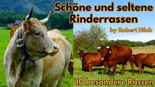 Schöne und seltene Rinderrassen  Eine Dokumentation über Kühe  Tiere Film von Robert Höck HD [upl. by Cristian315]