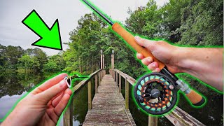 My FIRST Time Ever Fly Fishing Unexpected Catch [upl. by Cirilo]