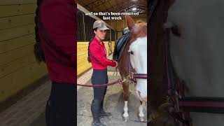 My tips for riding an anxious horse outside an arena Pt 1 horse horsegirl equestrian horses [upl. by Attinahs125]