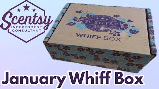 Scentsy Whiff Box January 2024 [upl. by Alysoun674]