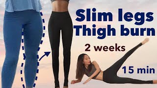 Slim legs amp thigh burn🔥secret easy workout  2 weeks beginner challenge 15minquietno equipment [upl. by Ordisy]