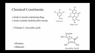 Amla Emblica Phyllanthus Pharmacognosy gpat Ascorbic Tannin VitaminC IndianGooseberry [upl. by Dualc]