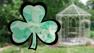 Easy St Patricks Day Craft Shamrock [upl. by Eniar]