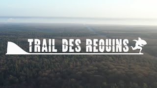 Trail des Requins 2020 [upl. by Yeloc]