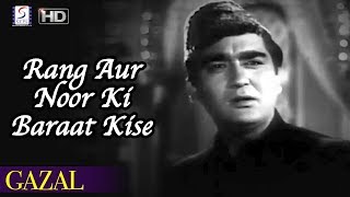 Rang Aur Noor Ki Baraat Kise Pesh Karoon  Mohammed Rafi  Sunil Dutt Meena Kumari [upl. by Genisia]