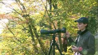 Video tutorial SWAROVSKI OPTIK Digiscoping camera adapter TLS APO for ATXSTX spotting scopes [upl. by Atlas935]