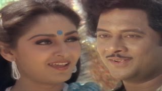 Parimalinchu Video Song  Puli Bebbuli Movie  Krishnam RajuChiranjeeviJayapradhaRadhika [upl. by Juetta]