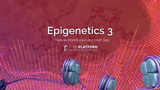 Epigenetics3 Histone Modification and ChIPseq [upl. by Toomin570]