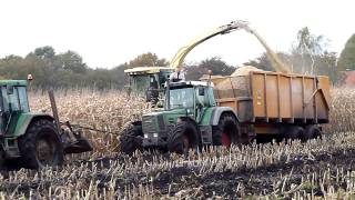 Loonbedrijf Meyners in de mais met Krone Big X Fendt 816 en JD 7710 [upl. by Holzman]